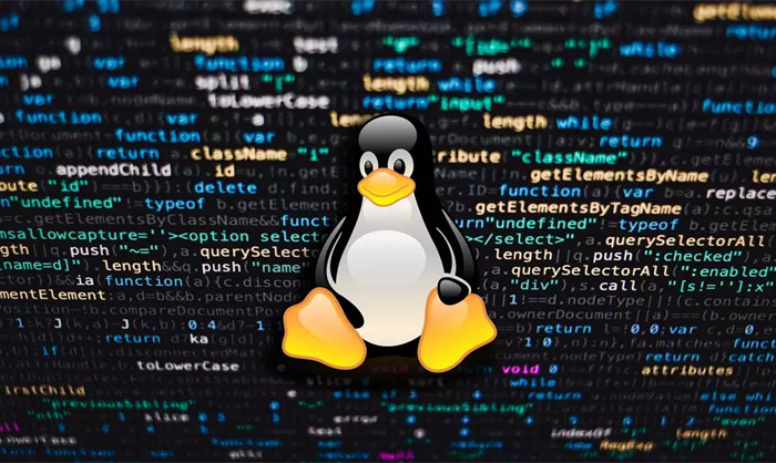 linux如何创建文件（应该怎么做）