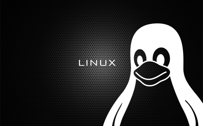 linux如何安装mysql（应该怎么做）