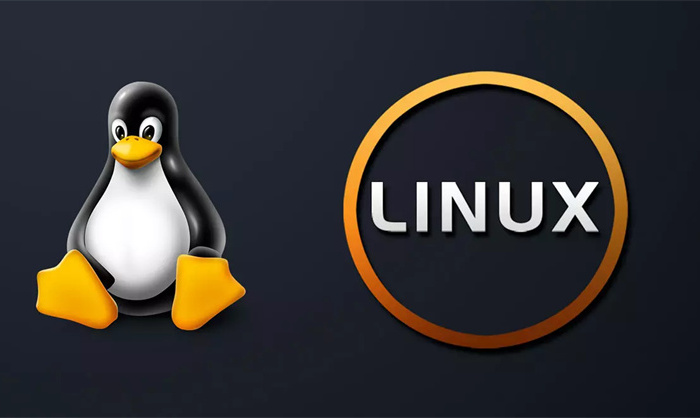 linux如何查看端口号（应该怎么做）