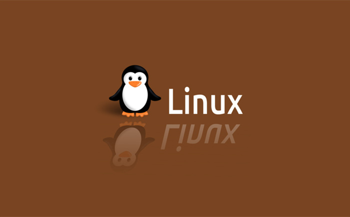 linux如何卸载软件（应该怎么做）