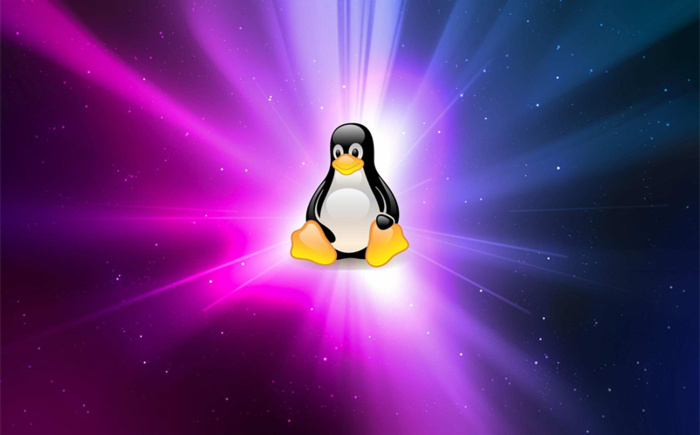 linux如何上网（应该怎么做）