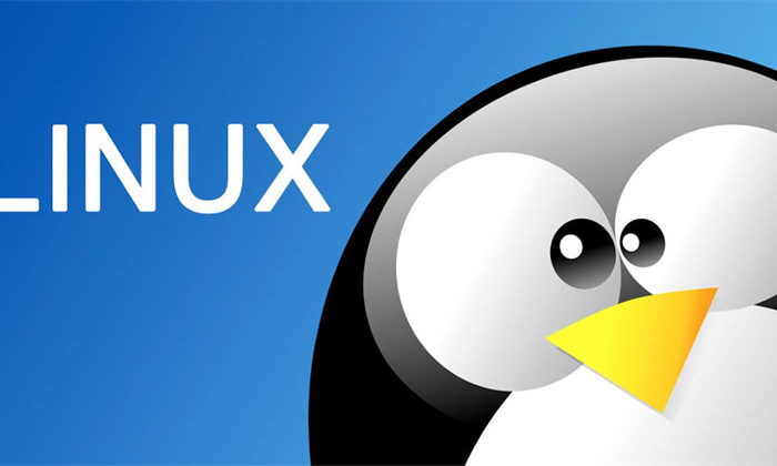 如何看linux版本（应该怎么做）